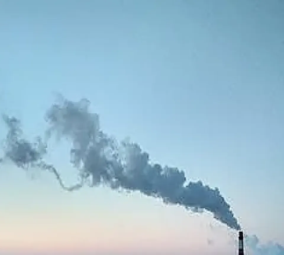 environment-and-sustainability
