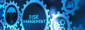 Enterprise Risk Management Skills
